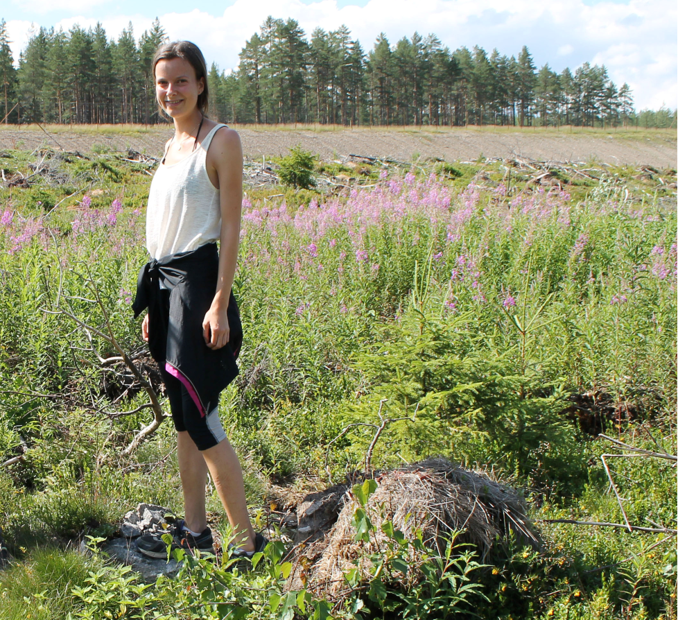 Julie Løken_skogplanting 2021.jpg