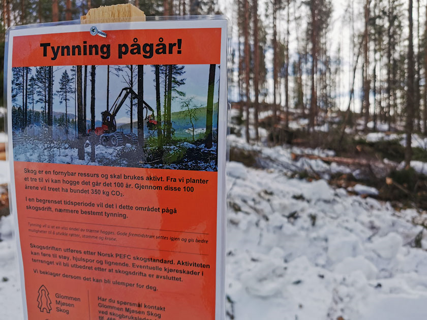 2023-03-Tynning-skogsdrift-bynært-Lillehammer-Foto-Silje-Ludvigsen-(7).jpg