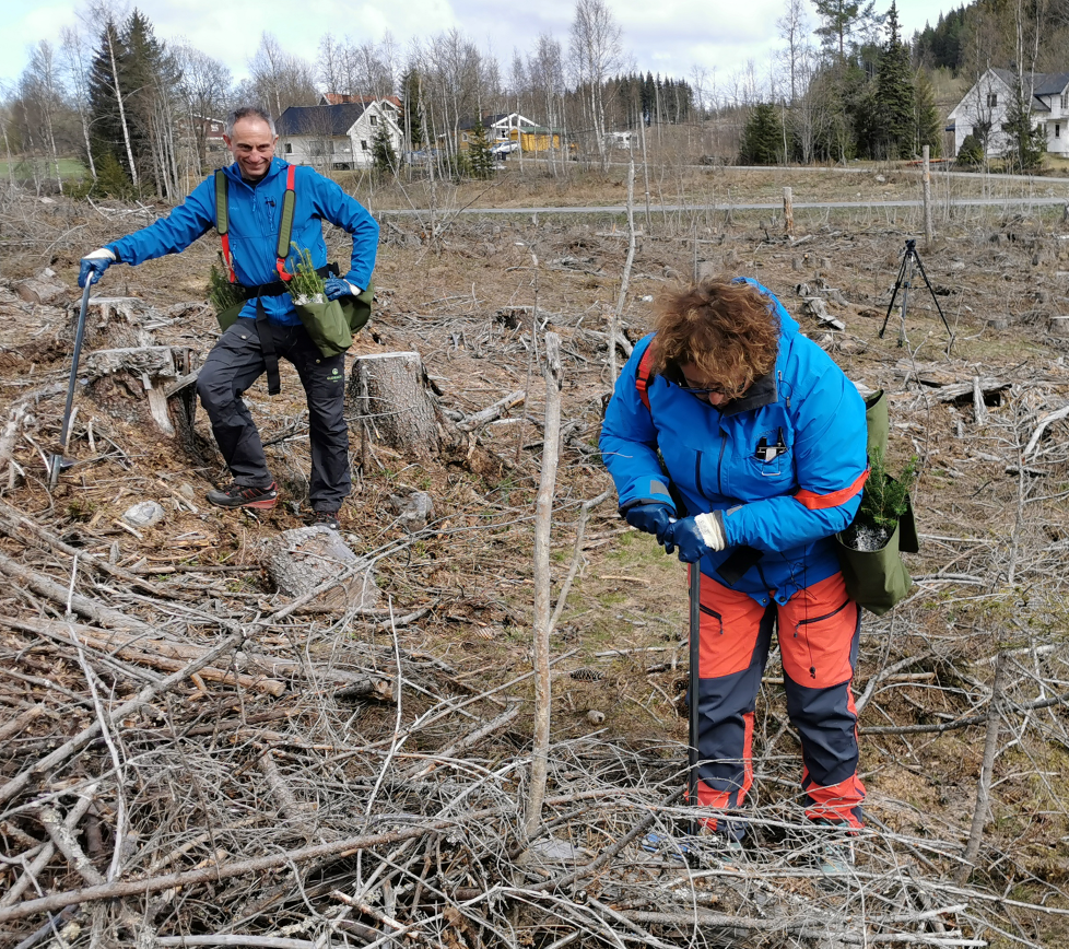 2020-04-24 Olaug Bollestad skogplanting Gjøvik Foto Silje L (19) BESKÅRET.jpg