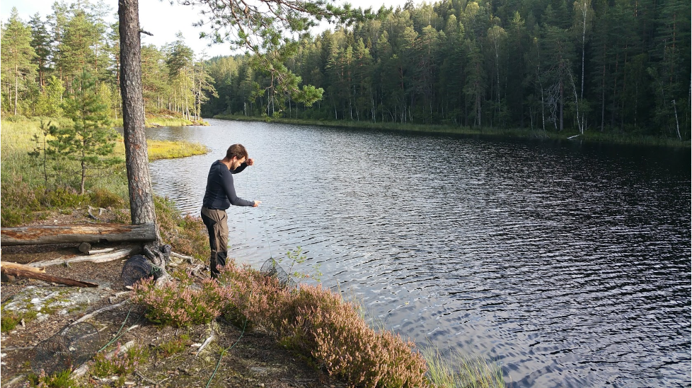 eriksvann.jpg