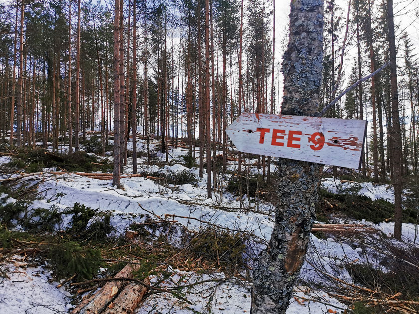 2023-03-Tynning-skogsdrift-bynært-Lillehammer-Foto-Silje-Ludvigsen-(12).jpg