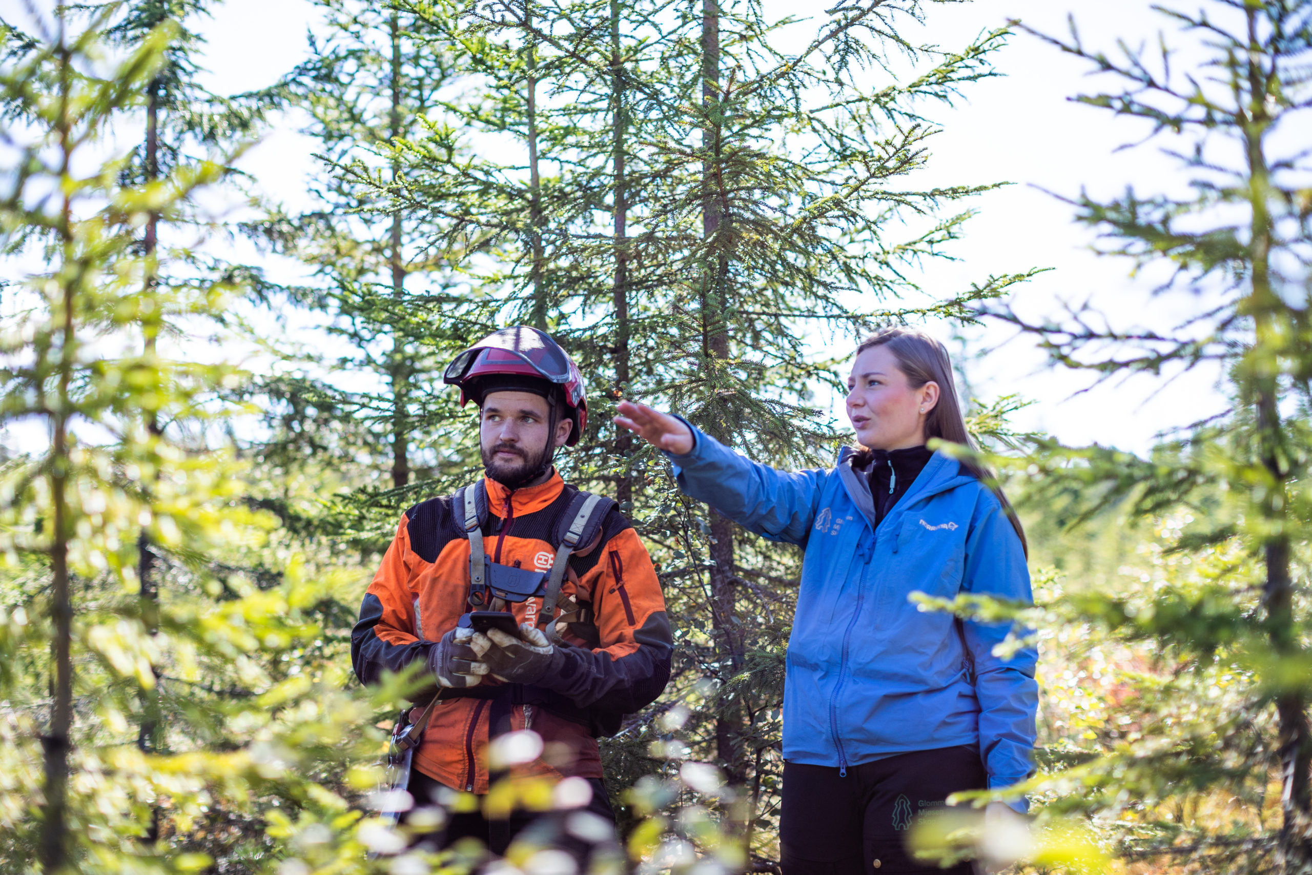 Ungskogpleie, gode råd fra Glommen Mjøsen Skog