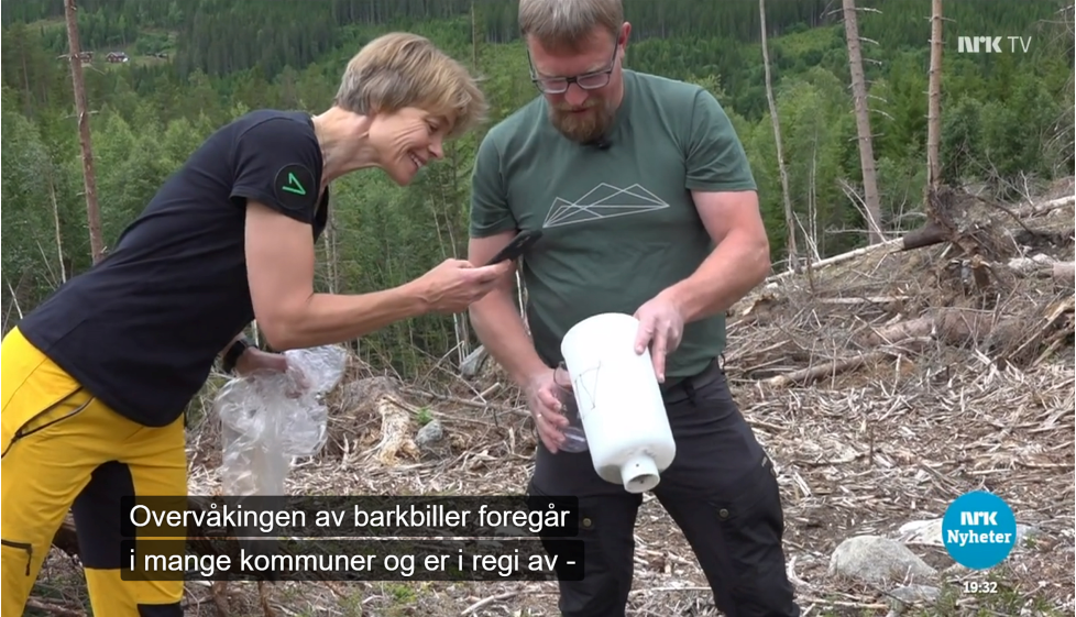 Intervju NRK_Innlandet 15_juli_barkbiller.jpg