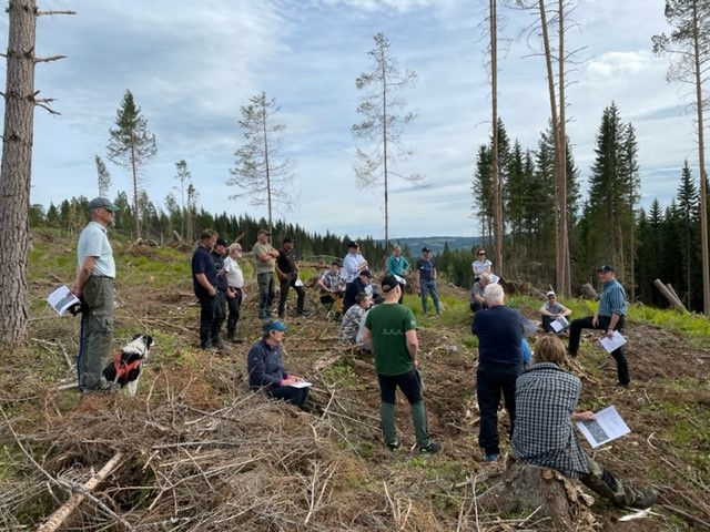 2022-06-22 Skogdag Hindklev Lillehammer stormskader 2 Foto Jon G Dahl.jpg