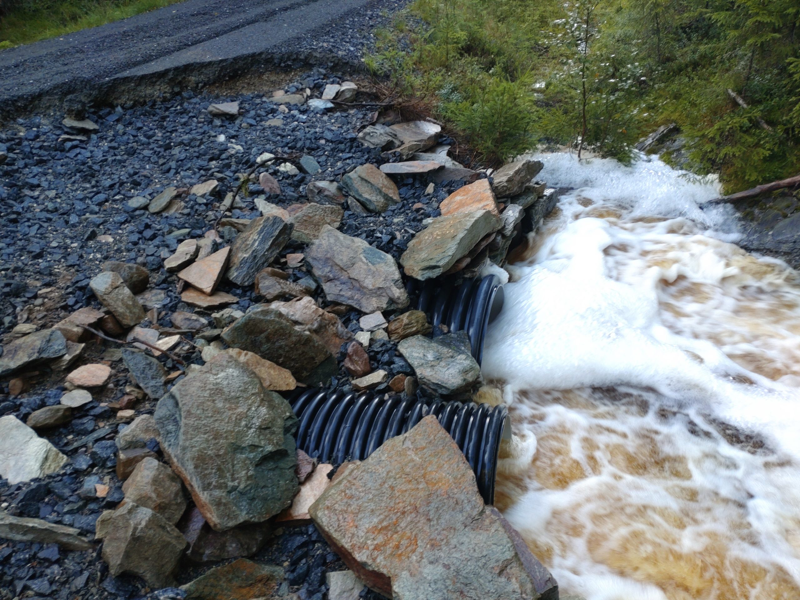 Store skader på skogsbilveier over store deler av Øst-Norge etter uværet 