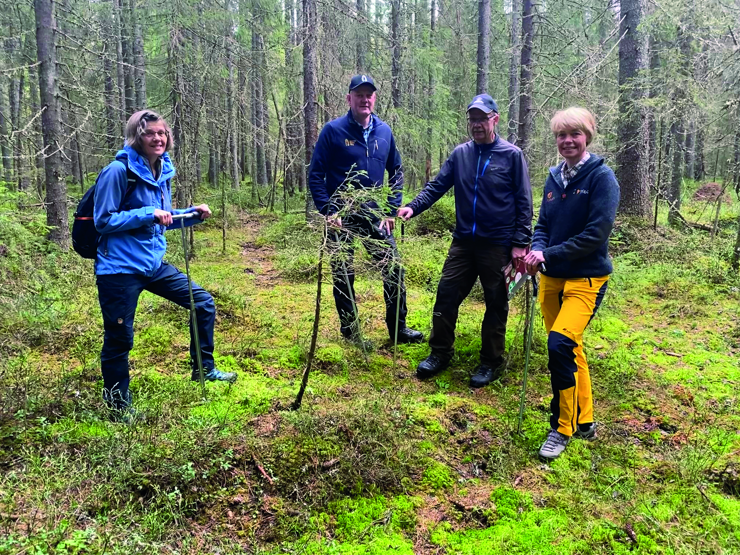 Bildet viser Kjersti Holt Hanssen, Sverre Holm, Dagfinn Haget og Eva Skagestad.