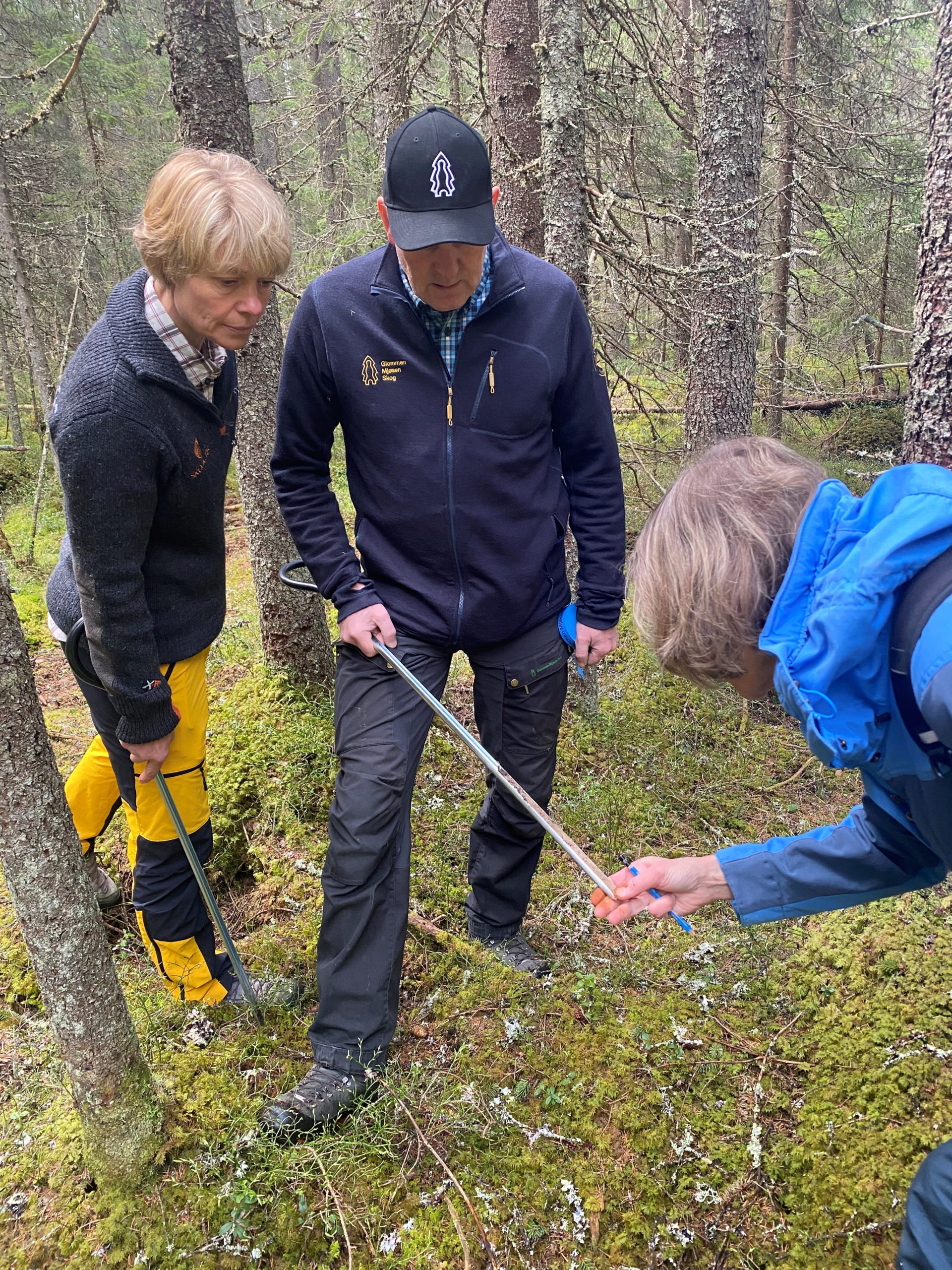 Bildet viser Kjersti Holt Hanssen og Eva Skagestad studerer jordprøven som Sverre Holm i Glommen Mjøsen Skog har tatt.