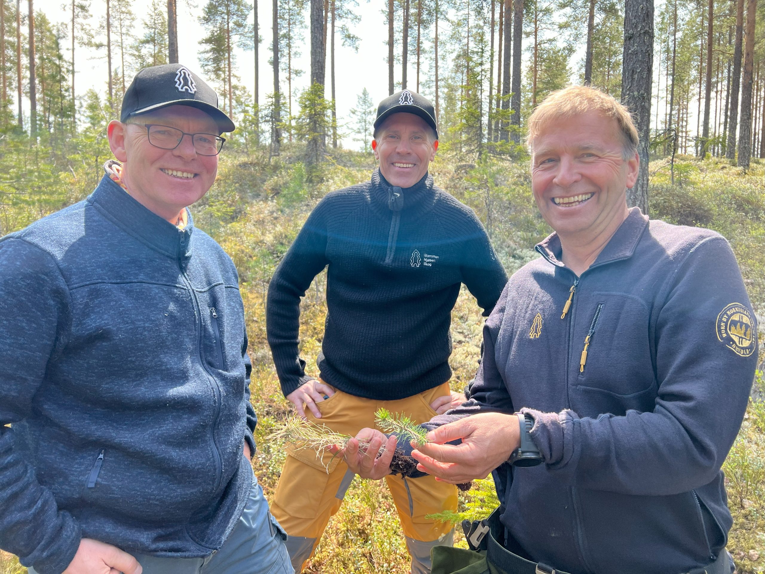 Bildet viser Jon Kristiansen fra NHO Innlandet, Peter Lohk fra Danske Bank og Arild Lindberget fra Glommen Mjøsen Skog på skogdag i Åmot og Elverum