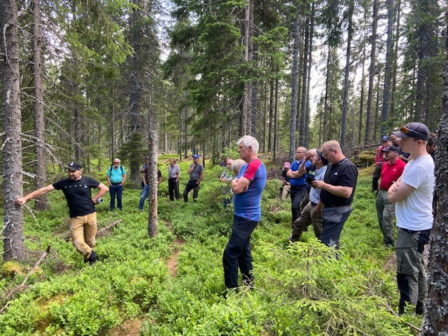 Bildet viser leder for kvalitet og miljø i Glommen Mjøsen Skog, Andreas Holen, i skogen sammen med skogeiere.