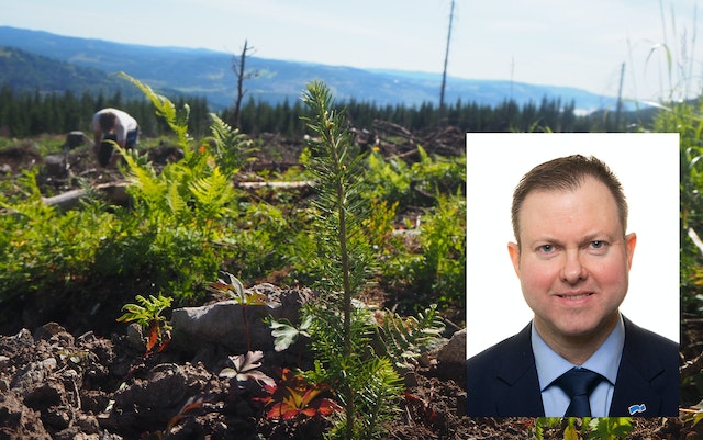 Bildet viser en et plantefelt med innklippsbilde av politiker Yngve Sætre.