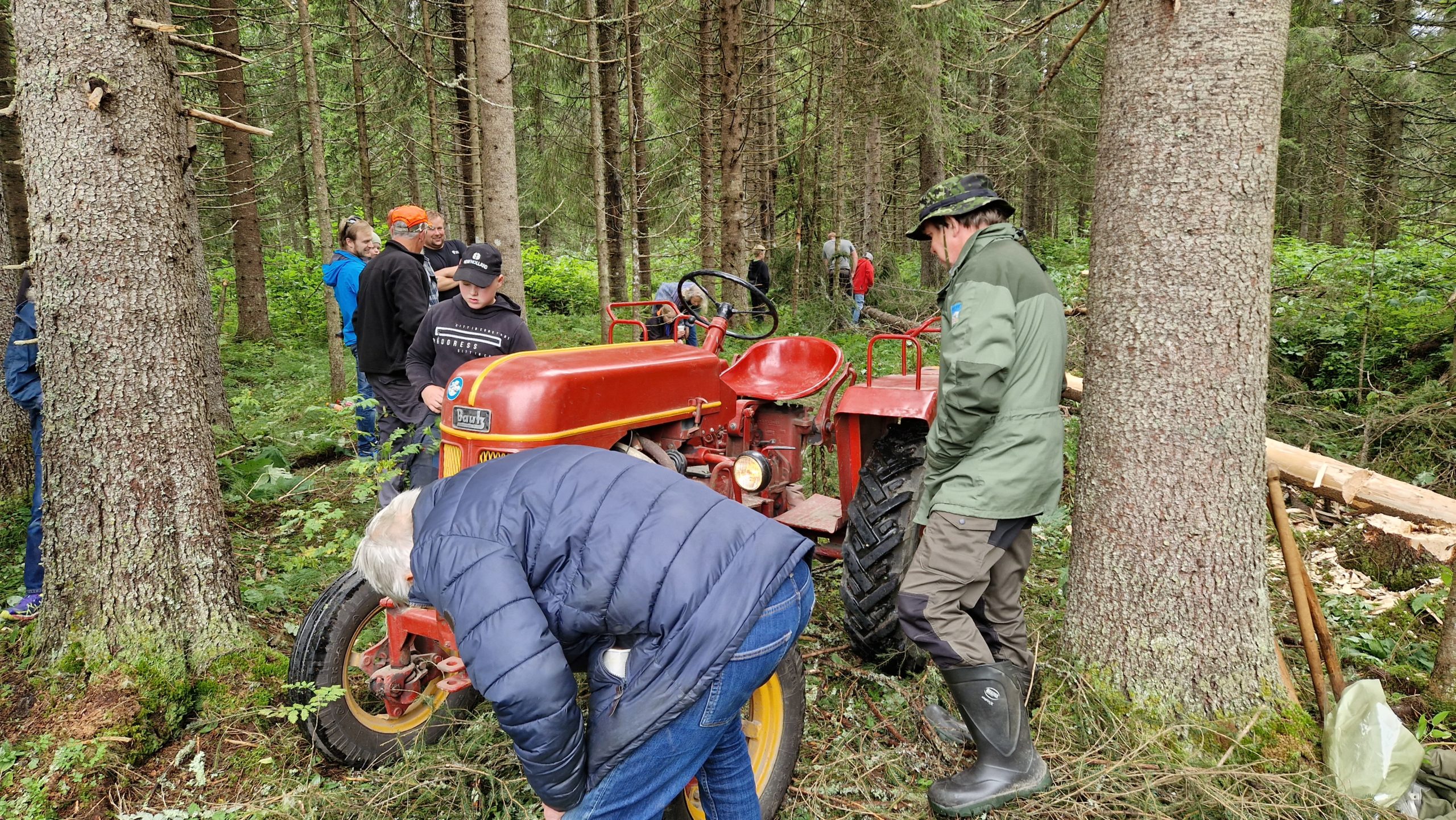 Folk ser på en gammel traktor i skogen.