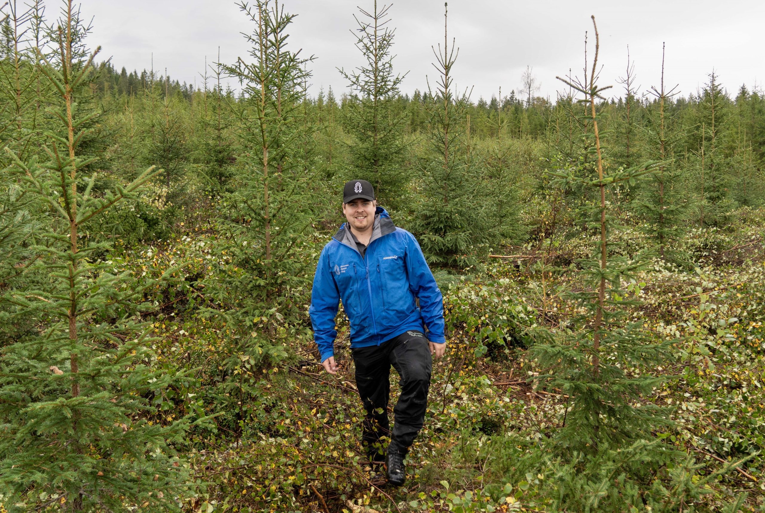 Ivar Eriksmoen, skogkulturleder i Solør.