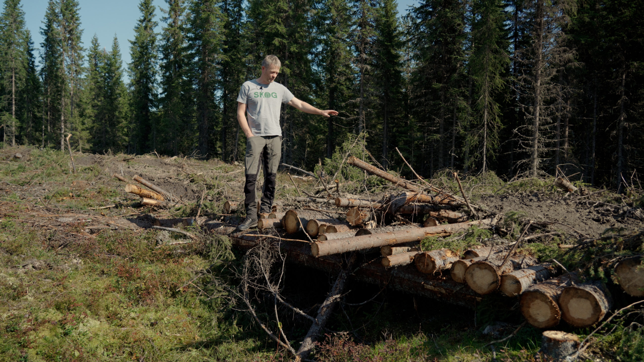 Kvist og tømmer brukes til å lage midlertidige bruer for å skåne terrenget mest mulig, forklarer skogbruksleder Gjermund Liereng i Glommen Mjøsen Skog. Foto: Hans Haug