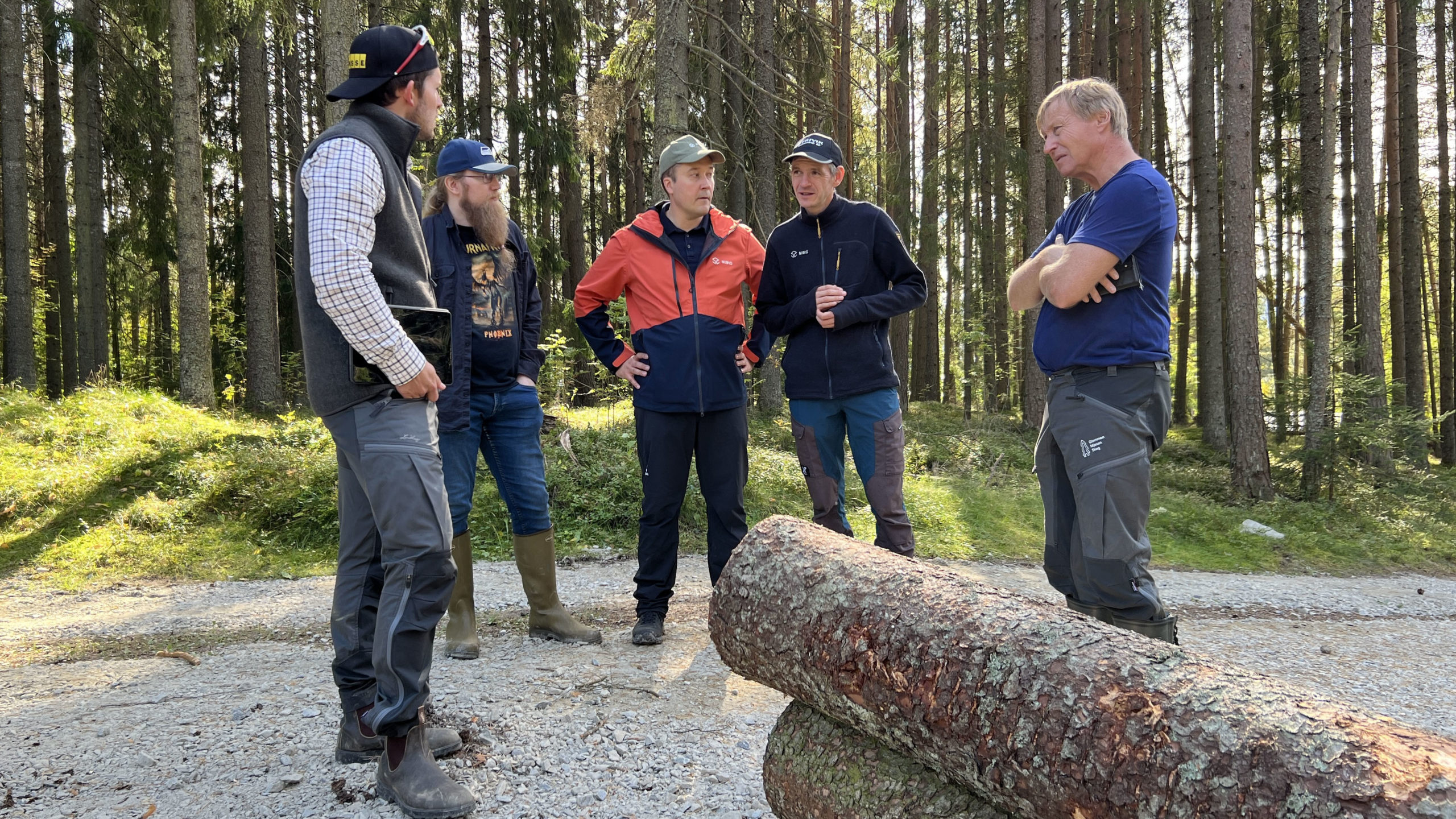 Fem menn rundt noen tømmerstokker i skogen.