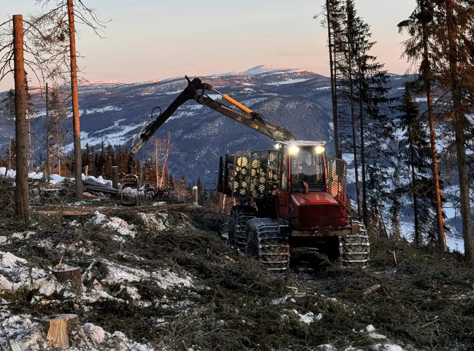 Rød hogstmaskin i aksjon i åsside vinterstid.