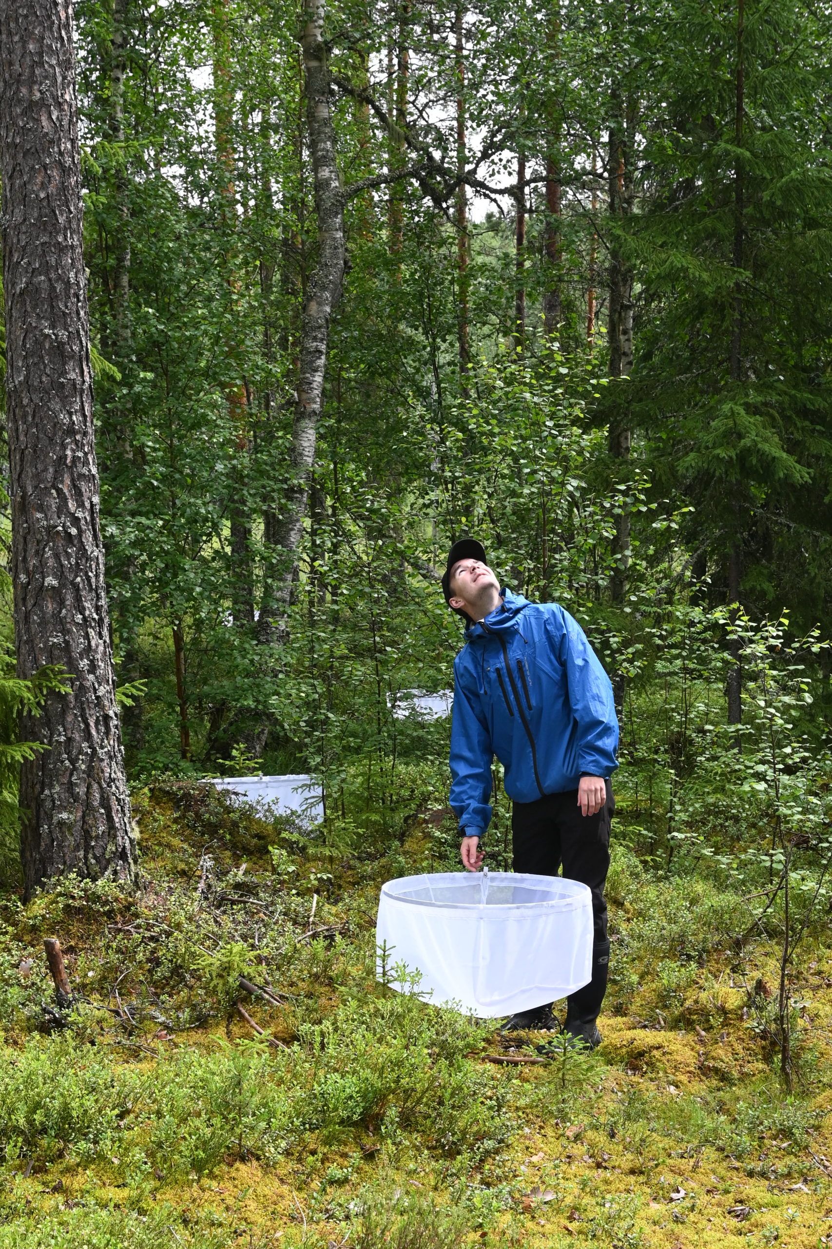 Ung mann med en hov i skogen ser mot himmelen.