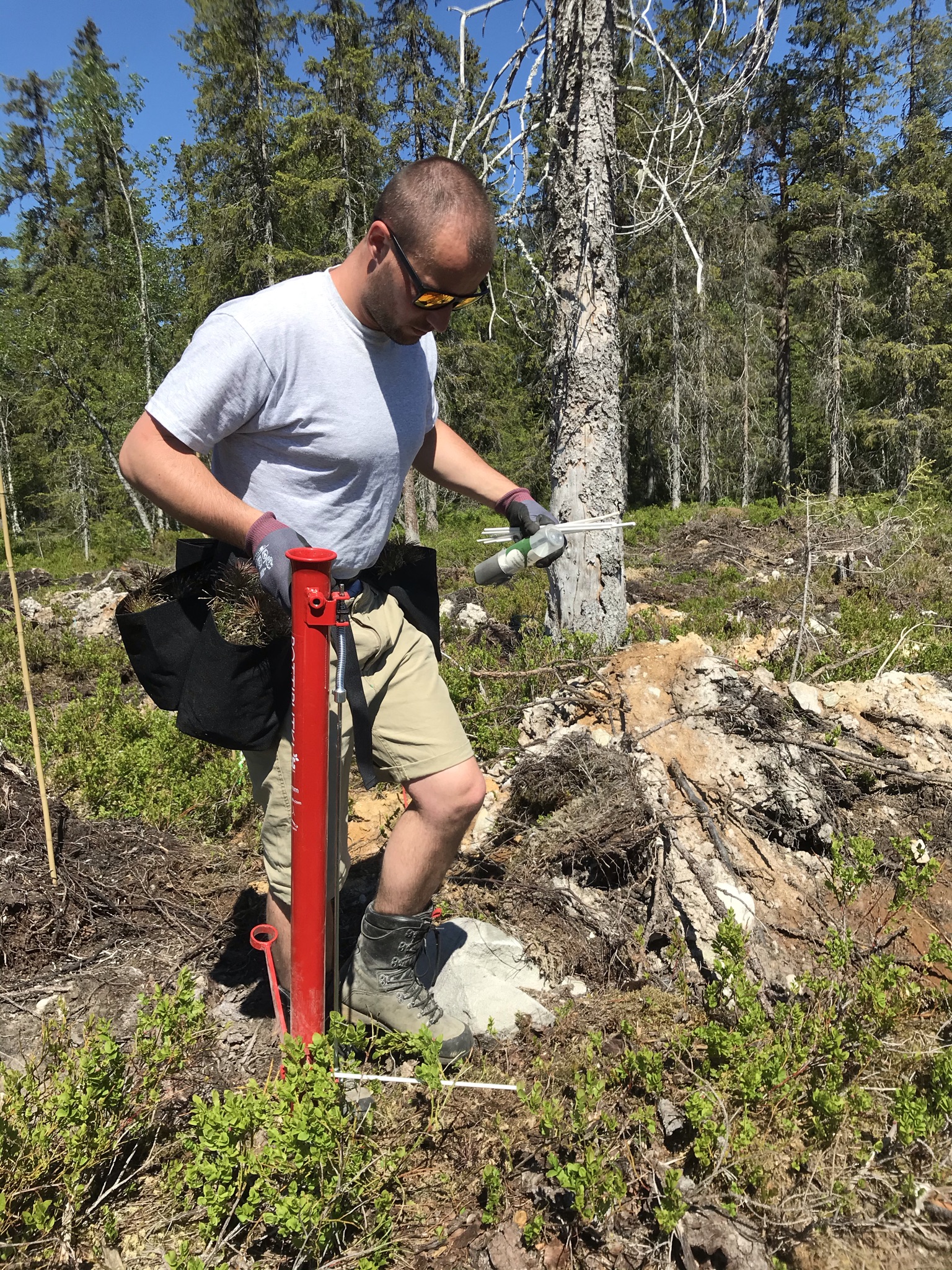 Mann med redskap for skogplanting.