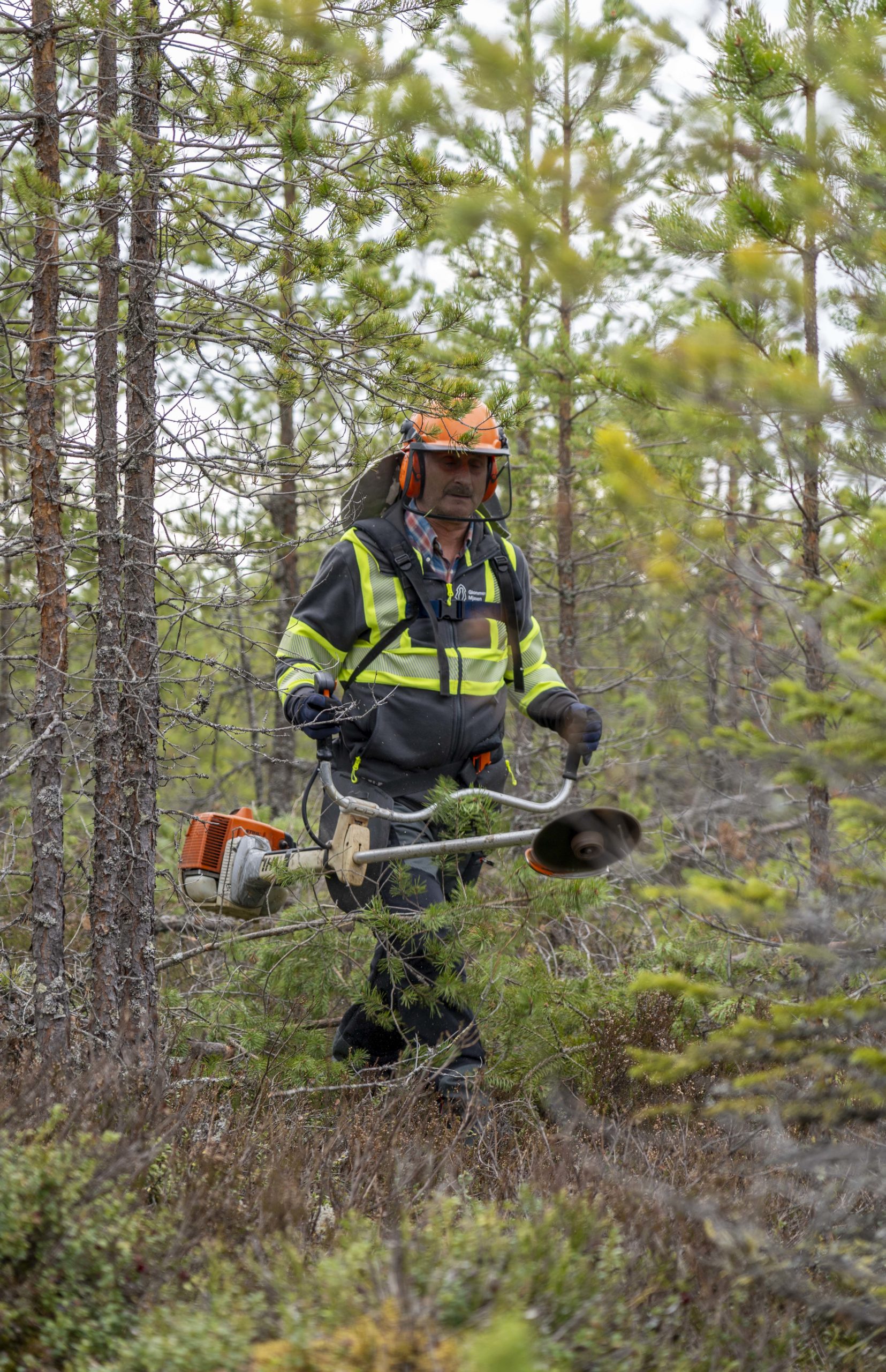 Skogsarbeider med ryddesag.