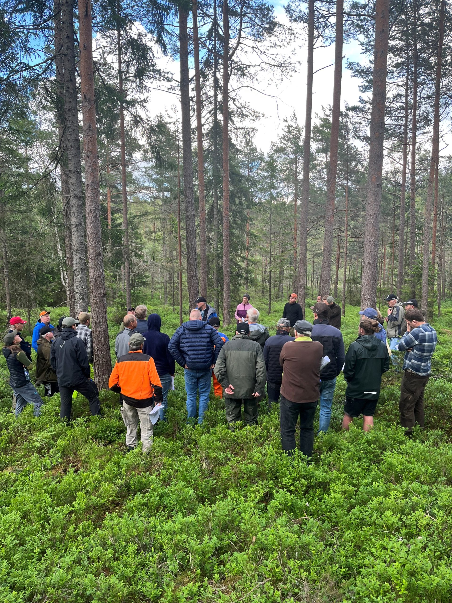 Mennesker samlet i skogen.