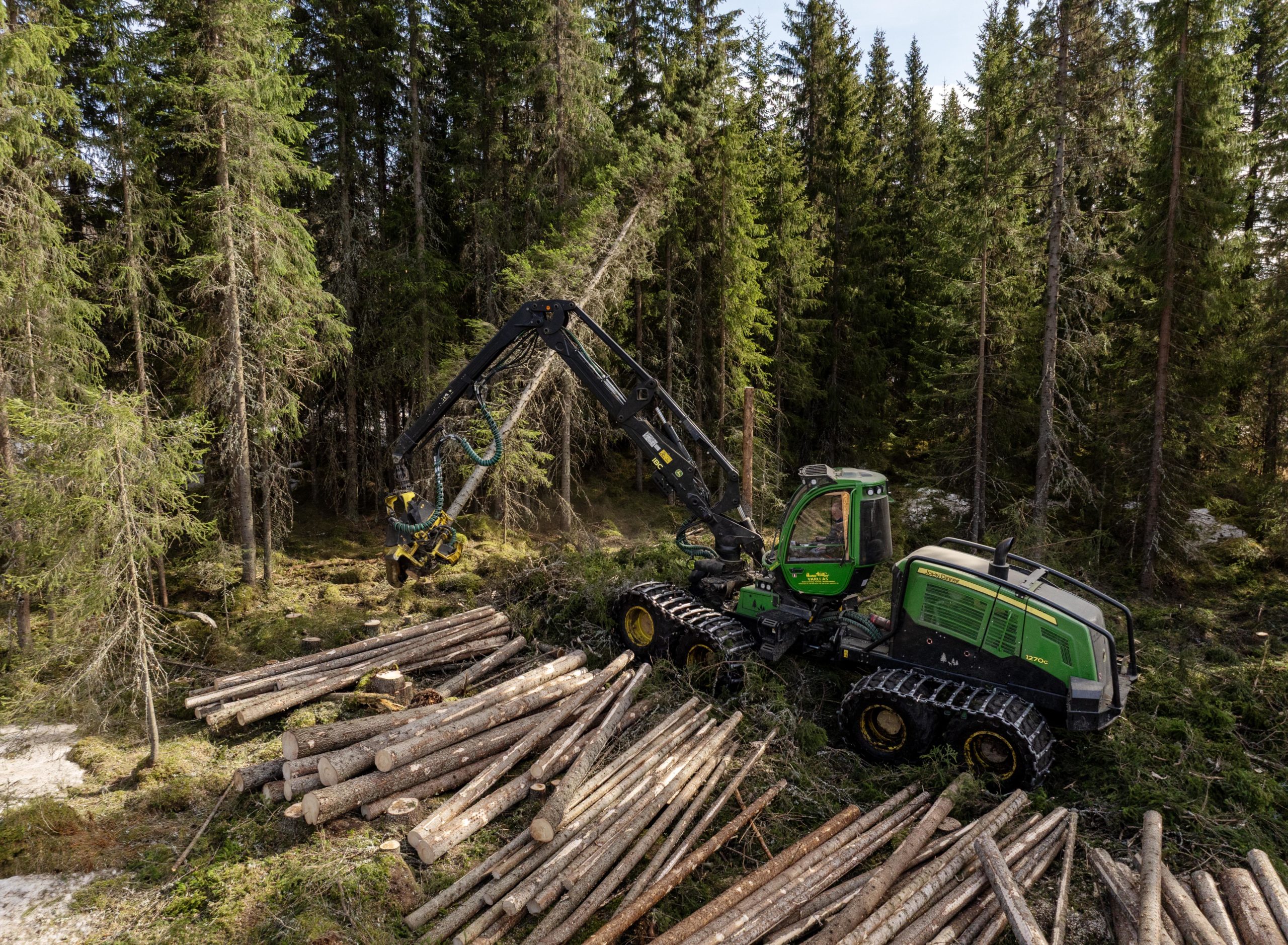 Hogstmaskin som hogger skog