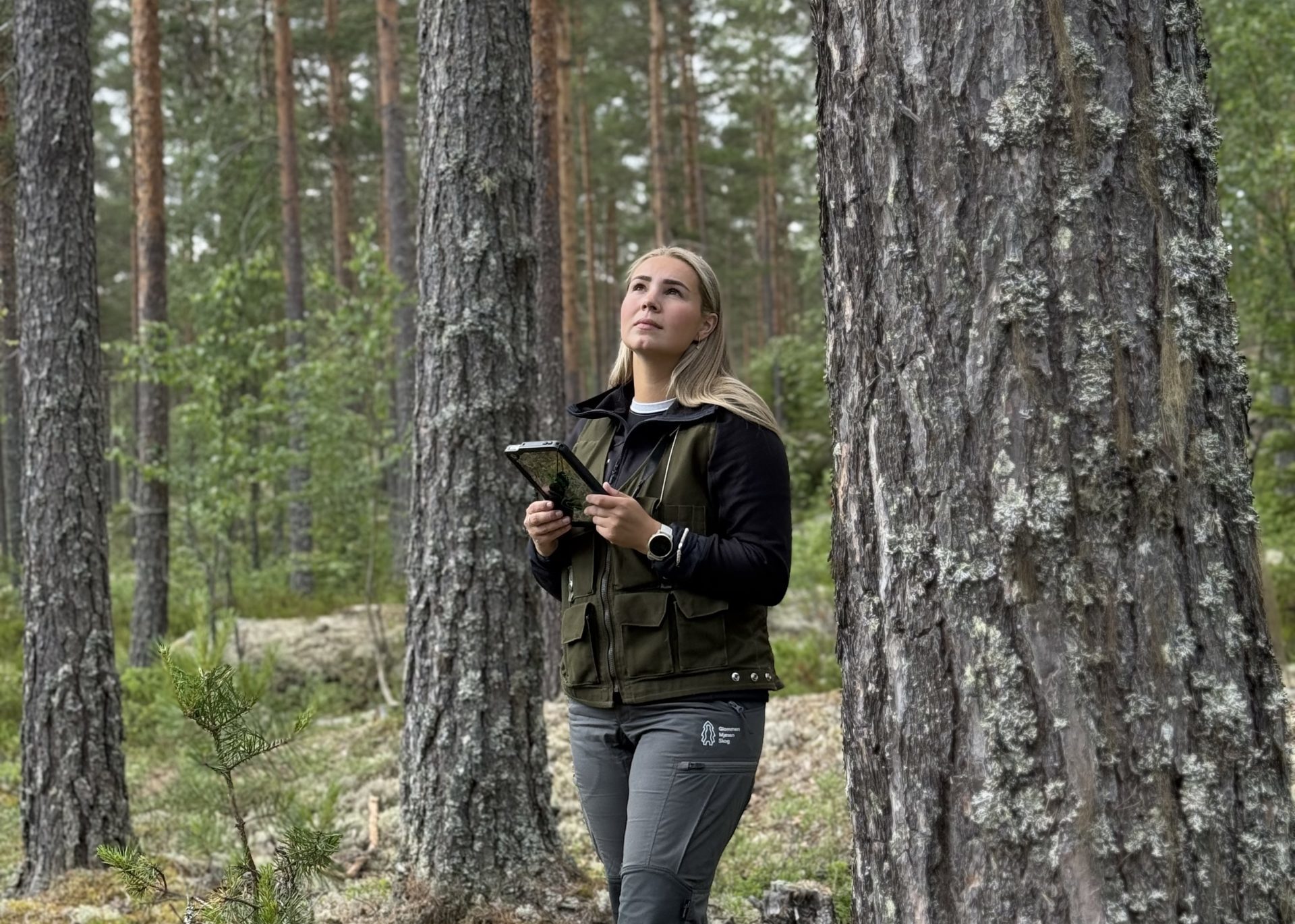 Kvinne med nettbrett i skogen.