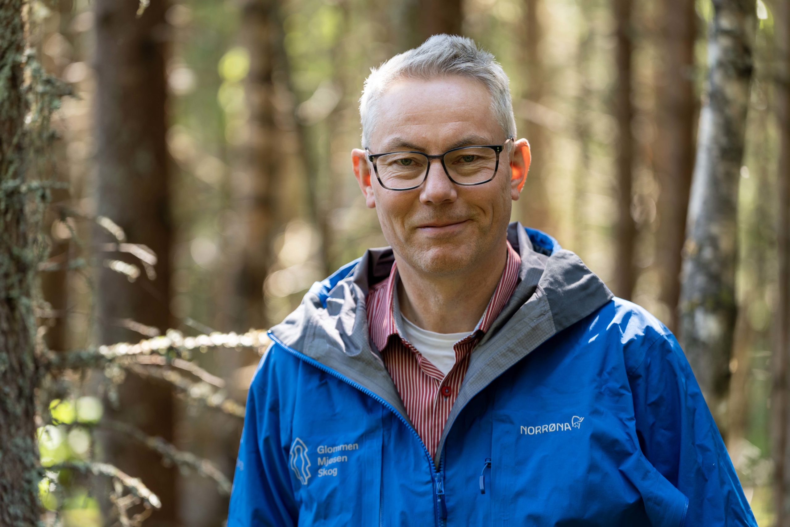 Yngve Holth, næringspolitisk sjef, Glommen Mjøsen Skog SA